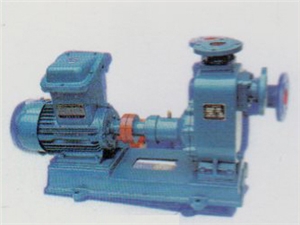 機(jī)械真空泵的工作原理及結(jié)構(gòu)特點(diǎn)